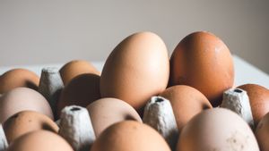 Menteri Zuklifli Hasan Harus Punya Penjelasan dan Jawaban kenapa Harga Telur dan Daging Ayam Melejit