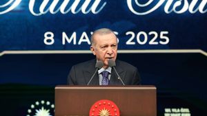 Erdogan To Trump: Help End The Humanitarian Tragedy In Gaza