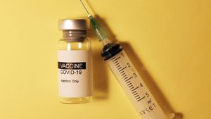 BPOM Akui Vaksin Nusantara Buatan Terawan Sering Abaikan Hasil Evaluasi