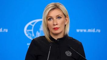 外交官は、包括的な戦略的パートナーシップに従って、クルスクでロシアを支援する北朝鮮軍と呼ぶ