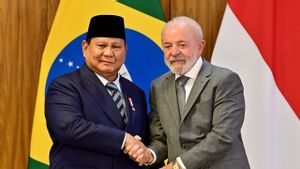 Prabowo Temui Lula di Brasil, Dorong Kerja Sama Energi, Pendidikan, dan Perdagangan
