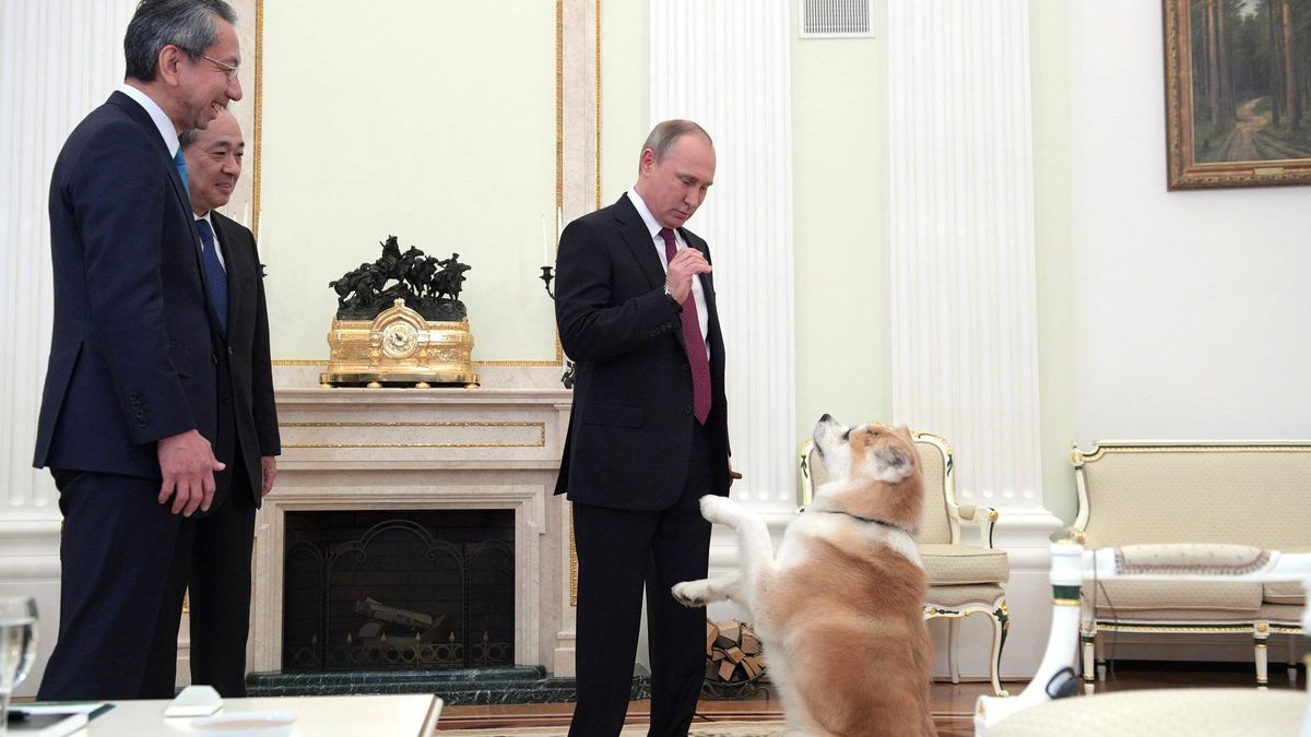 Akita Dog Owned by President Putin of Japan Dies of Old Age