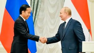 Pendapat Pakar: Kunjungan Presiden Jokowi ke Rusia-Ukraina Strategis Memulihkan Ekonomi