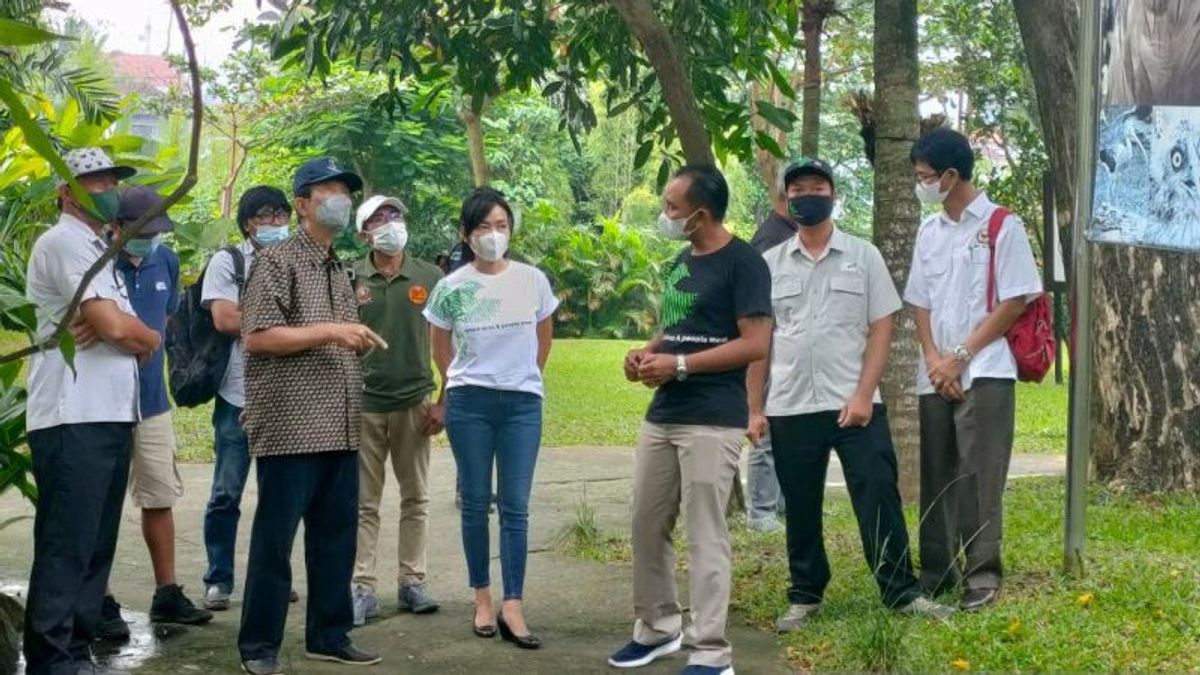 Berita Bali Terkini: Senator Made Mangku Pastika Apresiasi Upaya Konservasi Burung di Bali Bird Park di Gianyar 