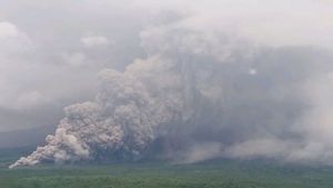   Gunung Semeru Erupsi Lagi Disertai Luncuran Awan Panas Sejauh 7 Km