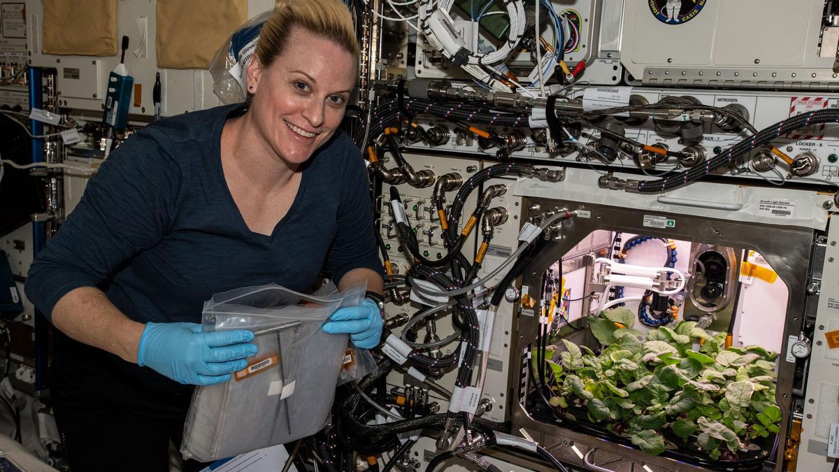 Bercocok Tanam di Luar Angkasa Demi Kelangsungan Hidup Para Astronaut