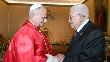 阿巴斯主席感谢教皇利奥十四世支持实现和平