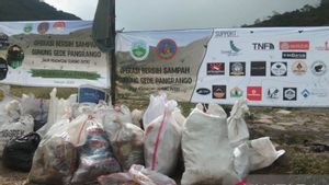 Bukan Jejak, Pendaki Tinggalkan Sampah Mayoritas Bungkusan Mi Instan dan Botol 1,5 Ton di Gunung Gede