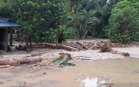 Berkaca Banjir Bandang di Papua Barat, BPBD Teluk Wondama: Tidak Ada Peralatan, Butuh Eskavator dan Gergaji Mesin