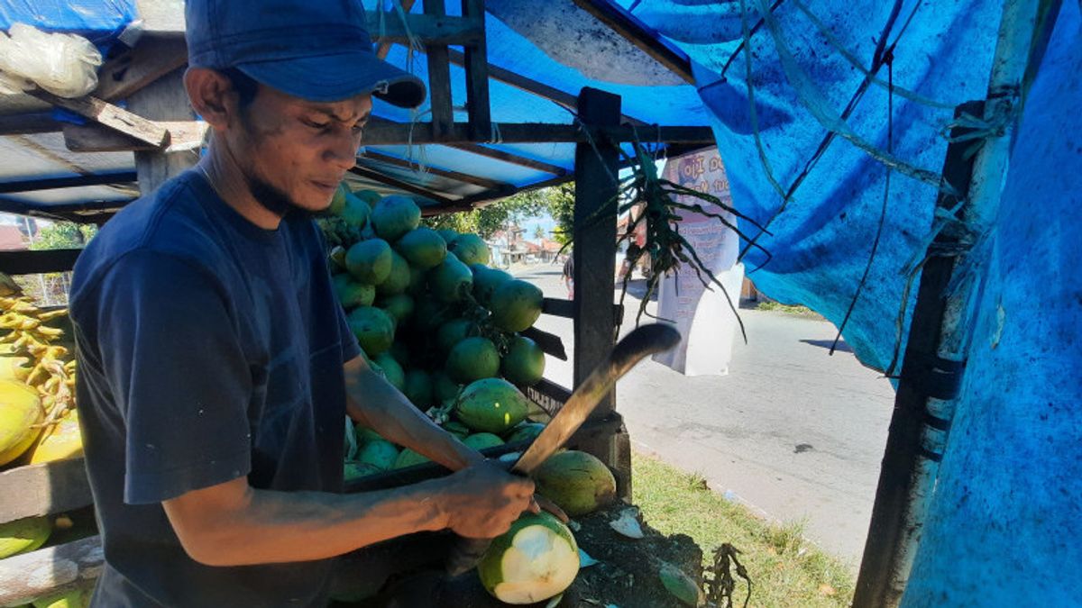 Pedagang Kelapa Muda di Pariaman Banjir Pesanan karena Warga Percaya Bisa Kurangi Efek Vaksin