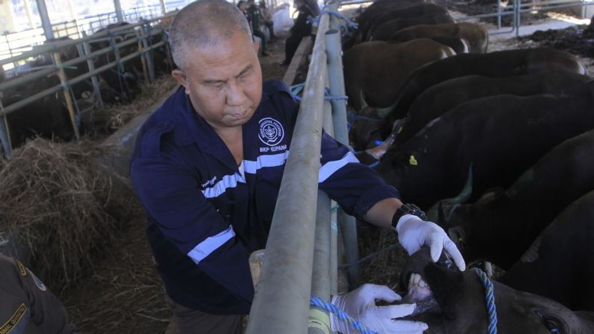 来自NTT的牛在口腔和指甲疾病中增加