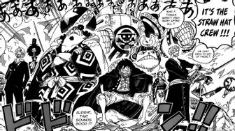 Chapter 990 One Piece The Straw Hat Crew S Grand Battle And X Drake S Secret Mission