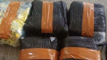 40 Kg Of Methamphetamine Smuggling From Aceh Foiled In Tangerang, 1 Perpetrator Arrested