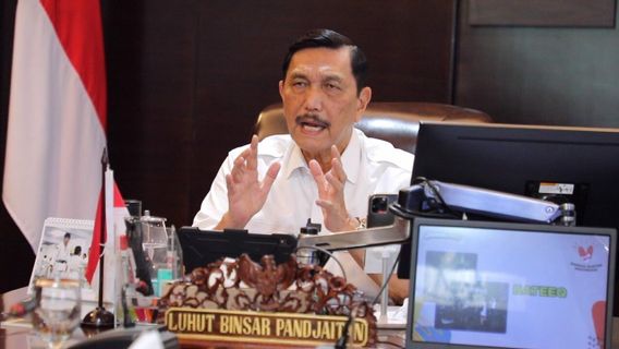 Menko Luhut Minta Penanganan COVID-19 Menggunakan 8 Persen Dana Desa