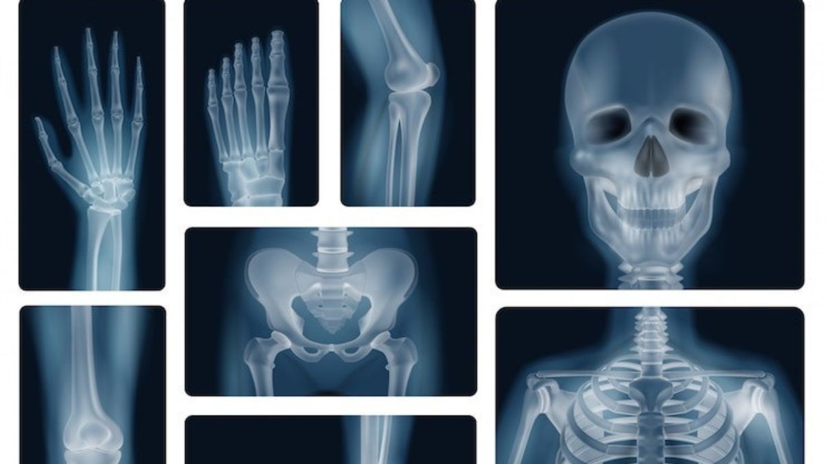 Process Of Human Bone Formation From Content To Adults