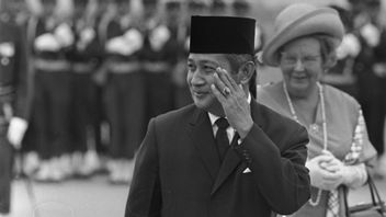 Bangkit dan Terpuruknya Soeharto Dihantam Resesi