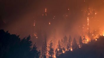 スペインのテネリフェで森林火災のために避難した何千人もの住民