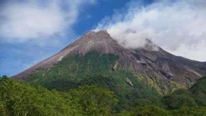 BPPTKG: Aktivitas Gunung Merapi Masih Aman