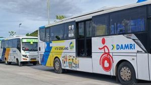 Sukses WSBK Mandalika, Sebanyak 700 Penonton Gunakan Bus Gratis