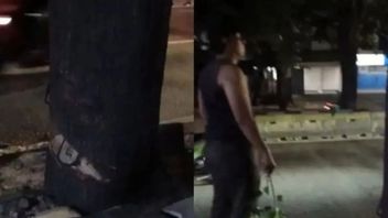 ASN Dinas Bina Marga Jaksel Pelaku Penebangan Ilegal Pohon Sudah Dimutasi