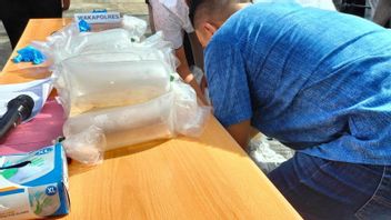 تهريب الشرطة لتصدير 6,610 بذور جراد البحر غير المشروعة في لامبونغ يكلف البلاد 1.4 مليار روبية إندونيسية