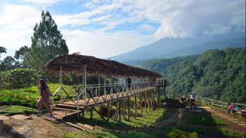celiers et touristiques mixtes pour la gastronomie et le tourisme en Amérique du Nord dans l'ouest de Sumatra