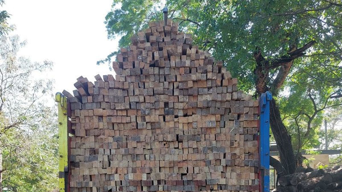 hut Sita 1 366 grains de bois transformés résultant de l’exploitation illégale dans TN Meru Betiri Jatim