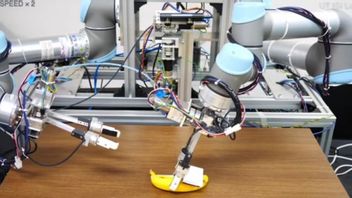 Wow! Perlu 13 Jam Ajarkan Robot Kupas Pisang dengan Benar
