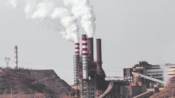 日本希望建立无碳社会，停止为印度尼西亚和孟加拉国的燃煤电厂开发提供资金