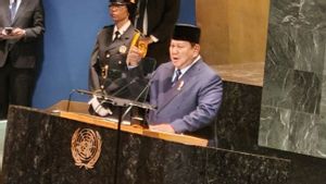 Gebrak Meja, Prabowo Serukan Kemerdekaan Palestina di Sidang PBB
