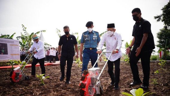 プルワカルタでトウモロコシと大豆を植えるマルフ・アミン副大統領