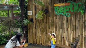 Bandung Zoo Kembali Dibuka dan Disambut Antusias oleh Pelajar