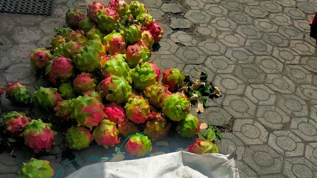 Thief Of 250 Kg Of Dragon Fruit In Banyuwangi Arrested