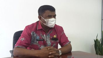 Evaluasi Kinerja, Pemkab Jayawijaya Papua Akan Putus Tenaga Kontrak yang Tidak Dibutuhkan Lagi