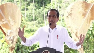 Jokowi Yakin que l’air IKN est bien meilleur que Melbourne et Paris