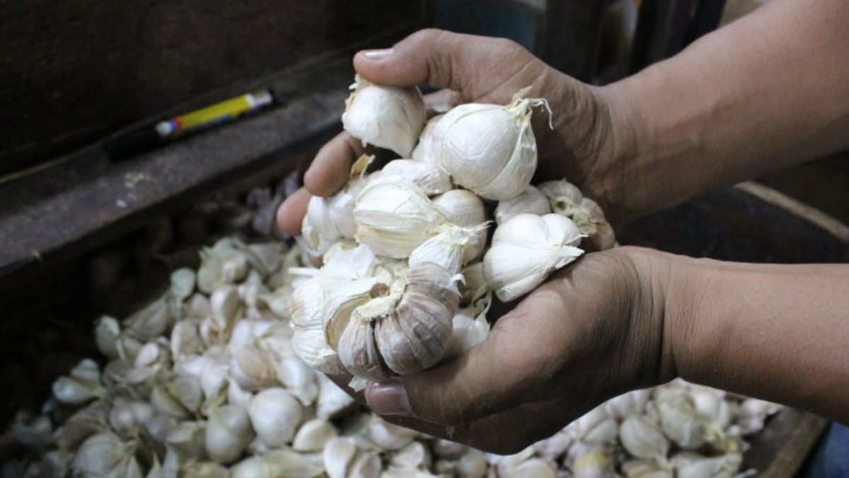 Ternyata Ini Alasan Pemerintah Impor Bawang Putih dan Garam 