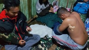 4 Prajurit Dikabarkan Tewas saat Kontak Tembak dengan KKB di Kiwirok, Dandim: Itu Berita Hoaks