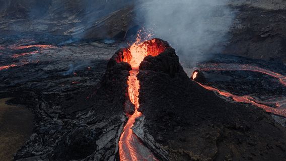 アンパッド教授:火山噴火堆積物が肥沃な土壌を生み出す