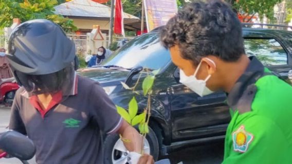 Sambut HUT RI, Mahasiswa UNM Bagi-Bagi Ratusan Bibit Pohon