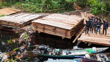 Hutan Riau Terluka, 300 Meter Kubik Kayu Ilegal Disita di Indragiri Hulu