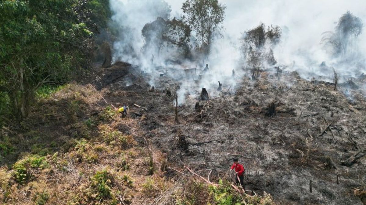 Beware Of Forest And Land Fires, Kotim Regent In Central Kalimantan Instructs Sub-District Heads To Serious Village Heads To Prevent