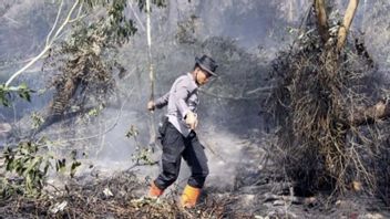 廖内警察局长,从森林和陆地火灾中密切关注土地,义务合作公司