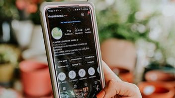 How To Switch To Professional Account On Instagram, What Are The Benefits?