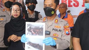 2 Fugitives In Jember Murder Case Arrested In Bali After Fleeing For 9 Years
