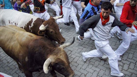 Seorang Pria Tewas Ditanduk Banteng dalam Festival di Spanyol Timur