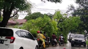 BMKG: Beware Of Thunderstorms In NTT Due To The Emergence Of Cyclonic Areas