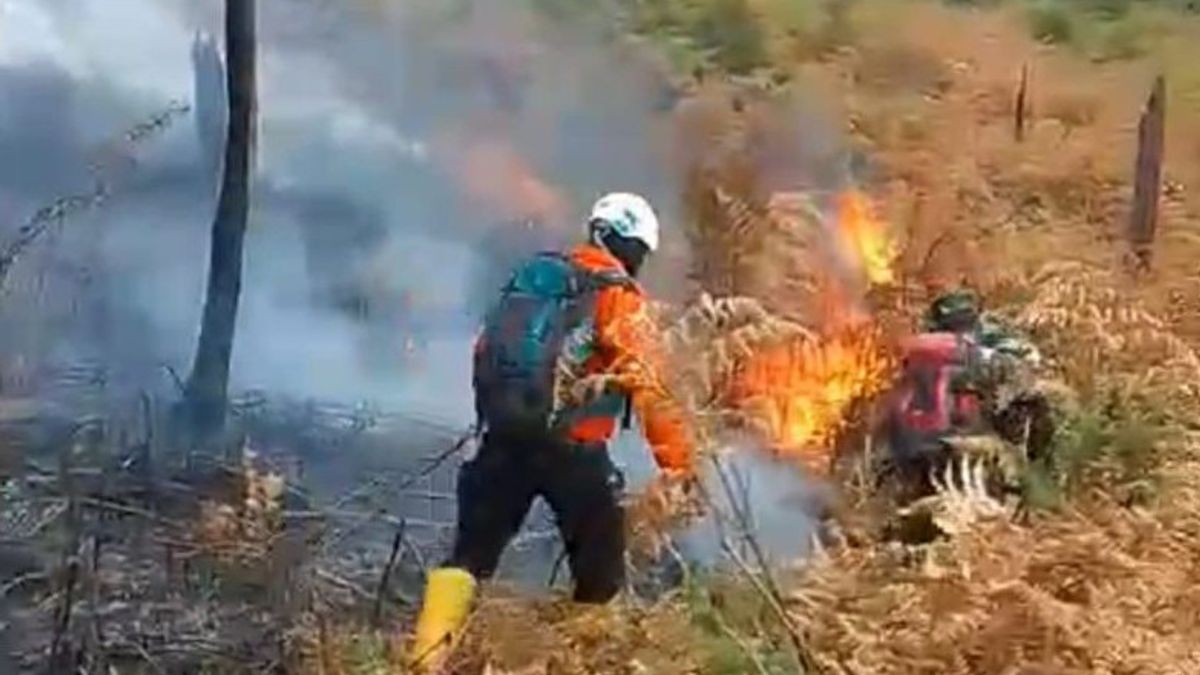 BKSDA Kembali Turunkan Petugas Padamkan Kebakaran Hutan di Gunung Papandayan