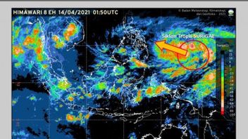 BMKG: Siklon Tropis Surigae Melemah 24 Jam ke Depan