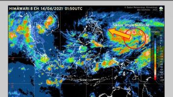 BMKG：苏里盖热带气旋未来24小时减弱