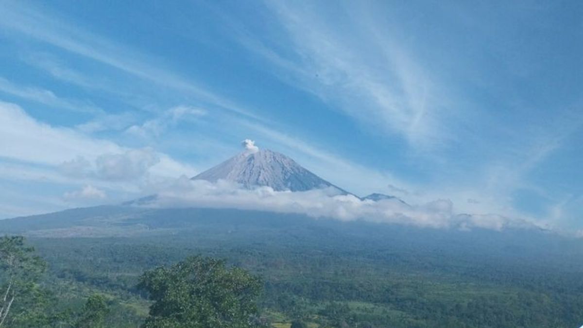 Gunung Semeru Eruption huit fois, les habitants de Lumajang s’il vous plaît, vigilent